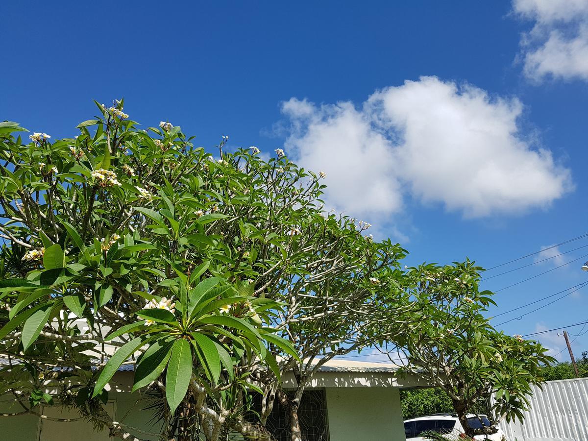 Saipan Family Residence Susupe Exterior photo